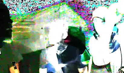 Hot amateur babes get pounded in interracial group sex action