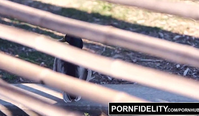 Ebony in red panties Ana Foxxx takes a cumload in her pussy during an intense fuck