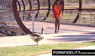 Ebony in red panties Ana Foxxx takes a cumload in her pussy during an intense fuck