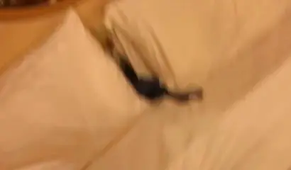 Fit ebony girlfriend tries out anal for the first time