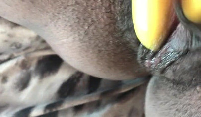 Black slut cums while masturbating up close