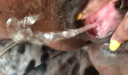 Black slut cums while masturbating up close