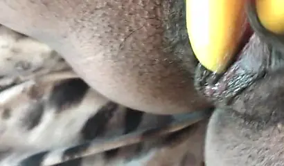 Black slut cums while masturbating up close