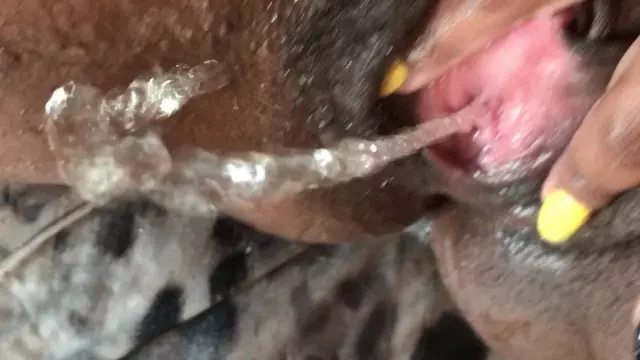 Black Slut Cums While Masturbating Up Close