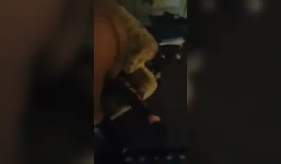 Lusty ebony enjoys quickie with a nice cumload