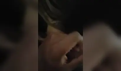 Amateur ebony babes in facial compilation