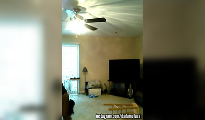 Short-haired ebony MILF takes doggy pussy drilling