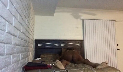 African woman rides her man until reaching orgasm