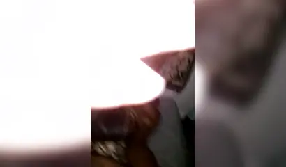 Ebony sluts get blindfolded and fucked in the dark