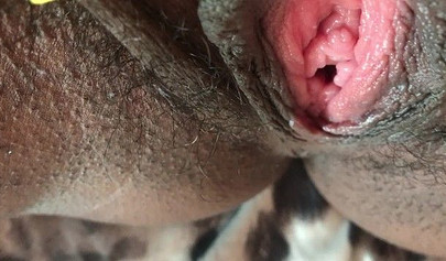 Slutty ebony rubbing her hairy muff up close