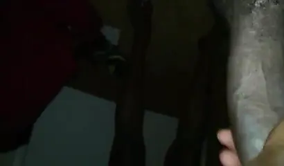 Black babe takes a rock-solid staff in a fantastic closeup shot