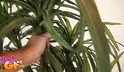 Seductive black girlfriend gets her pretty pussy fingered on camera