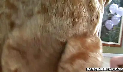 Dancing beargets the best blowjobs from the ebony babes at the fuck fest party