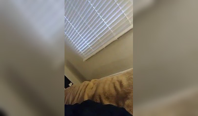 Ebony chick rides a huge white dick until she receives that creamy surprise