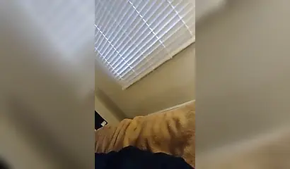 Ebony chick rides a huge white dick until she receives that creamy surprise