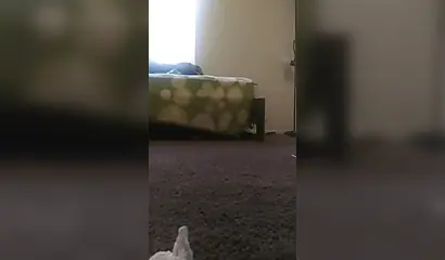 Thick amateur black chick cheats on her boyfriend and gets fucked by a white guy