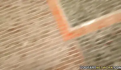 Kinky ebonies Noemie Bilas and Daizy Cooper fuck each other and cocks in gloryhole