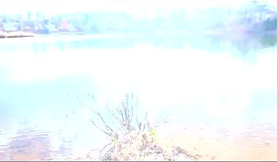 Curvy and adorable black teenie gives an outdoor blowjob and fucks doggy style