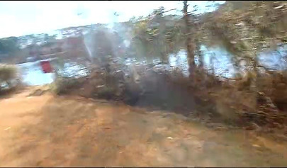 Curvy and adorable black teenie gives an outdoor blowjob and fucks doggy style