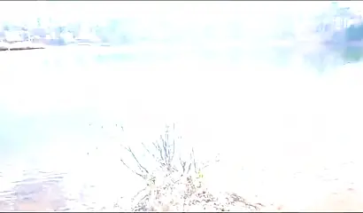 Curvy and adorable black teenie gives an outdoor blowjob and fucks doggy style