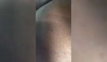 BBW black amateur seduces her Uber driver an masturbates by rubbing her pussy