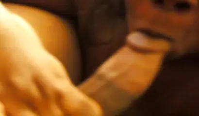 Black amateur in fishnets gives a fantastic blowjob before her pussy is drilled