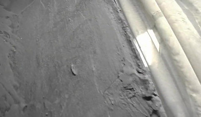 Ebony enjoys a threesome where she gives a blowjob before her pussy is banged