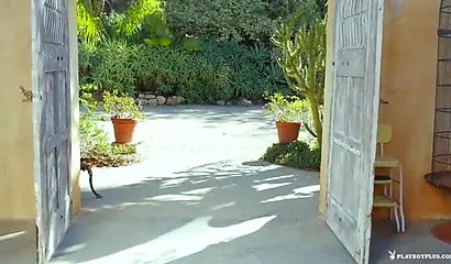 Black girl drops her lingerie to reveal a perfect pair of tits and shaved pussy