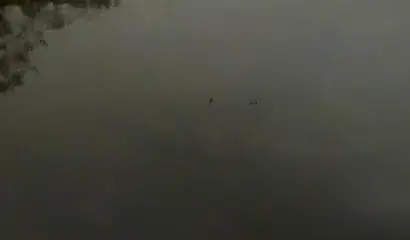 Amateur black girl strips naked and rubs her pussy outside before fucking her man