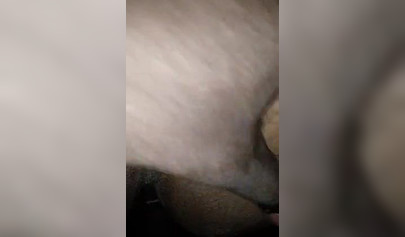 Horny ebony amateur girl enjoys having her wet cunt stretched by a big black cock