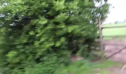 Ebony gals showing off just how good they are when it comes to taking some dick