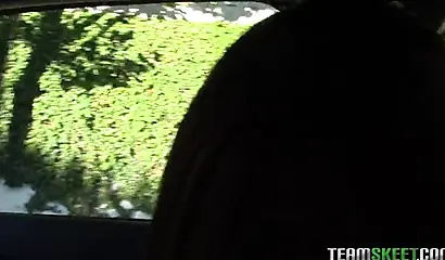 Young ebony girl sucks and fucks for money