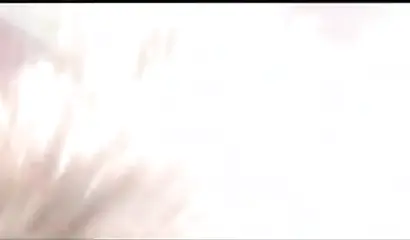 Ebony Lesbians Suckling Wet Pussy